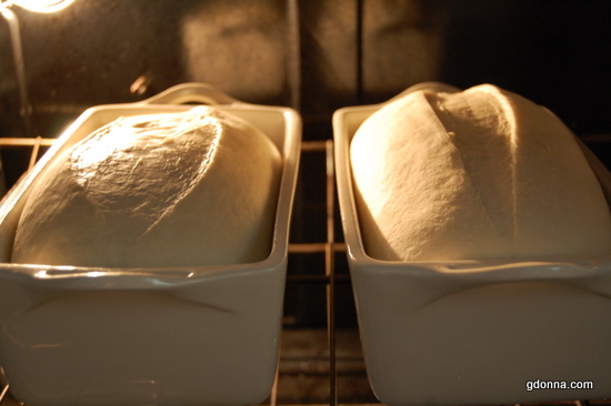 My Journey From Sourdough Starter to Sourdough Bread
